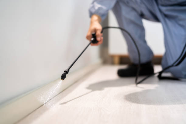 Licensed Termite Control service in Mount Olive, MS - Nex Pest Control