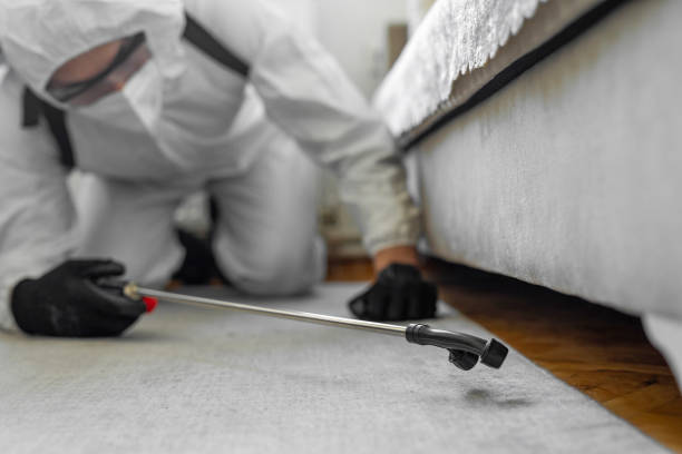 Professional Termite Control technician working in Mount Olive, MS