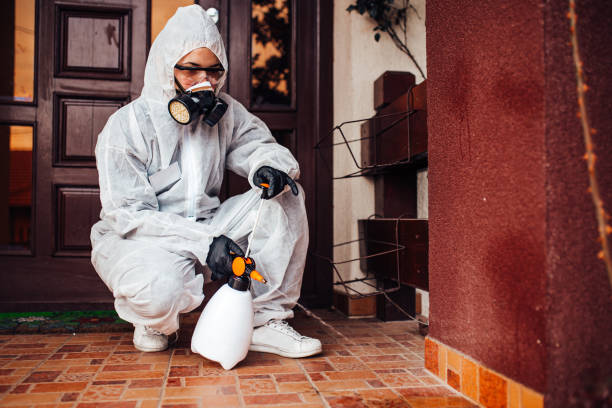 Reliable Termite Control contractor in Mount Olive, MS by Nex Pest Control